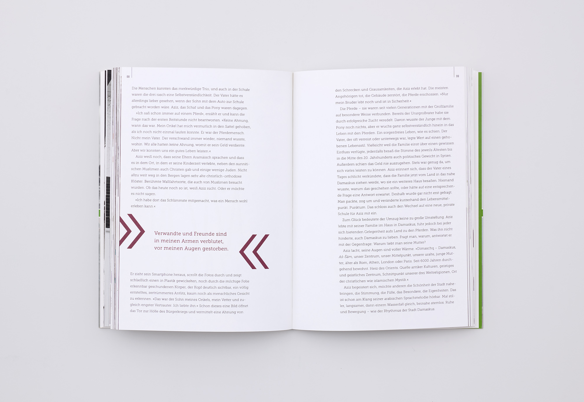 Fremdenzimmer 16 junge Männer aus Syrien und ihre Geschichten Doppelseite Aziz al Zaba