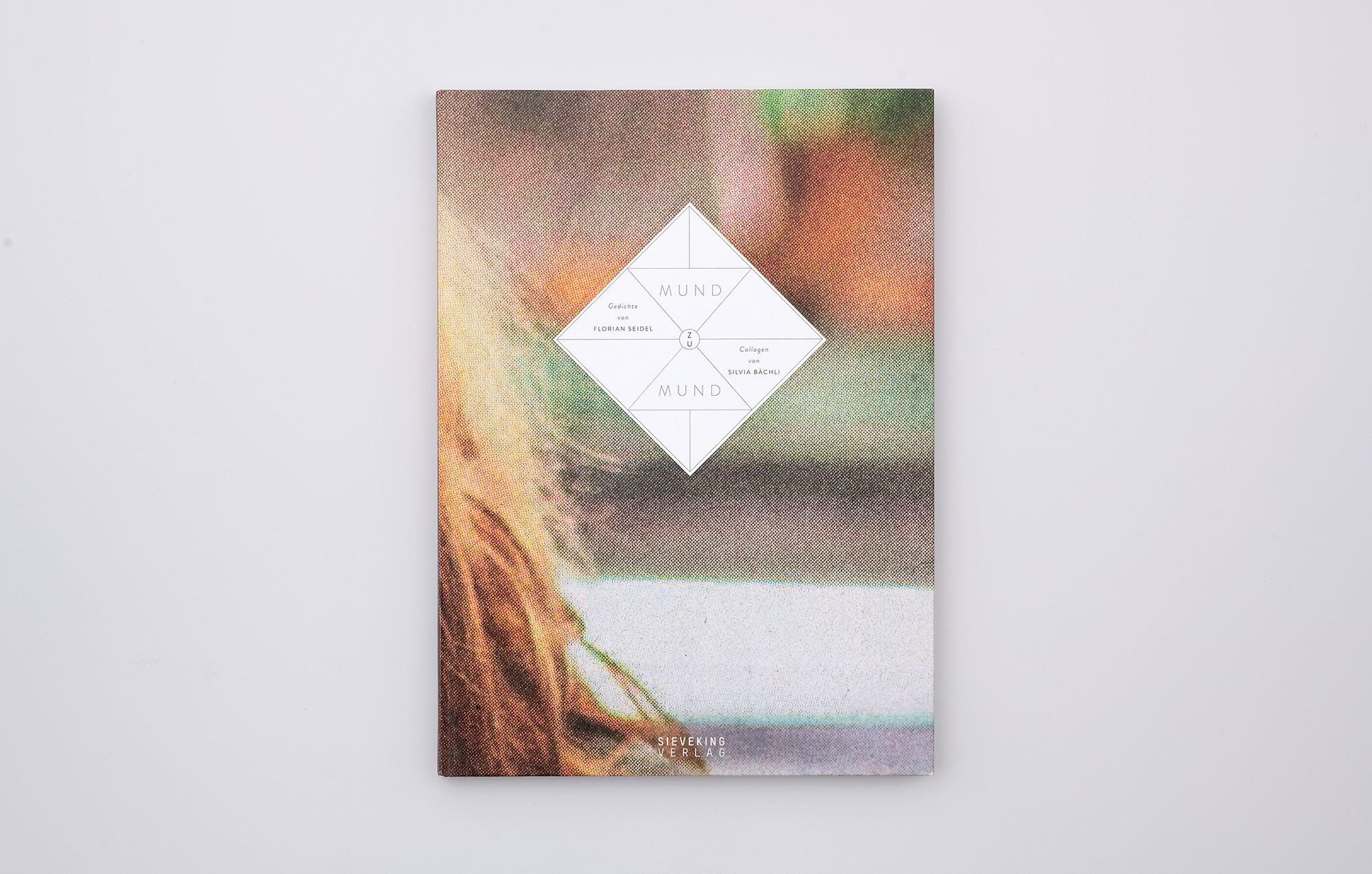 Mund zu Mund / Silvia Bächli Collagen, Florian Seidel Gedichte